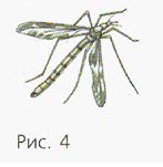 Задание рисунок 1