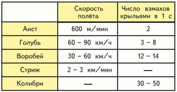 Задание рисунок 1