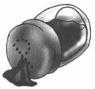 Задание рисунок 2