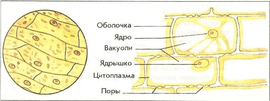 Решение рисунок 2
