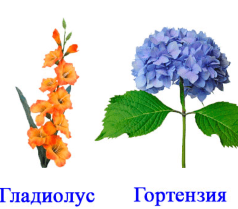 Решение рисунок 2