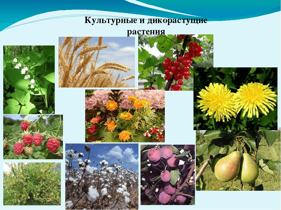 Решение рисунок 4