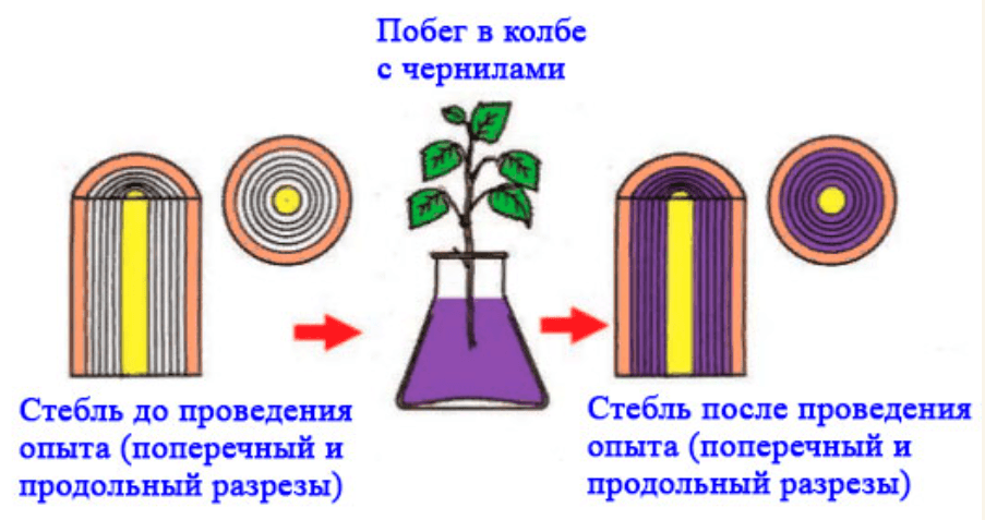 Решение рисунок 4