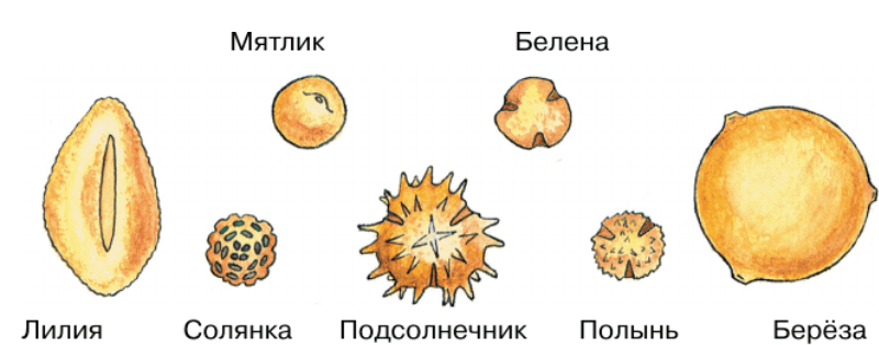 Задание рисунок 1