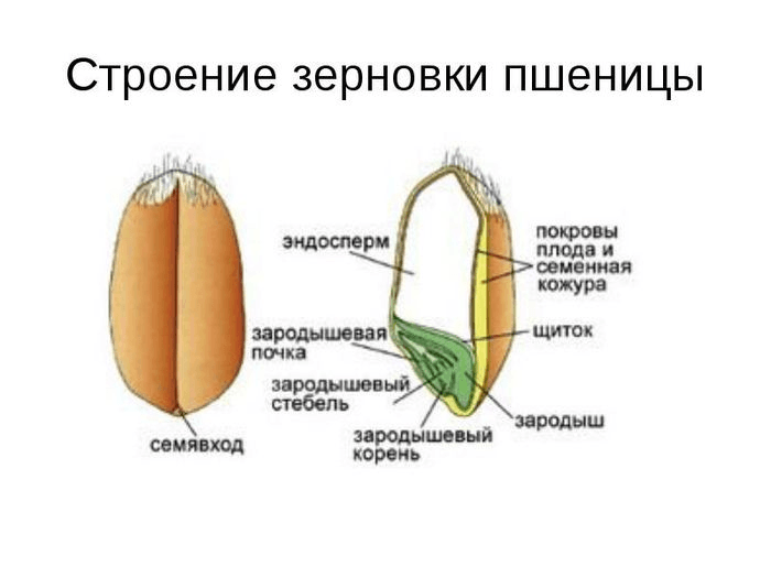 Решение рисунок 1