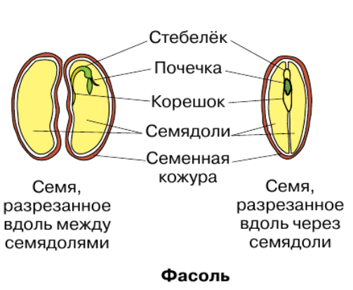 Решение рисунок 1