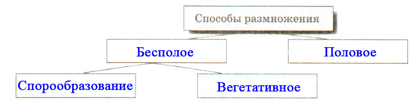 Решение рисунок 1