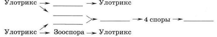 Задание рисунок 1