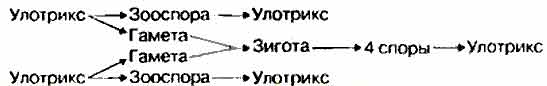 Решение рисунок 1