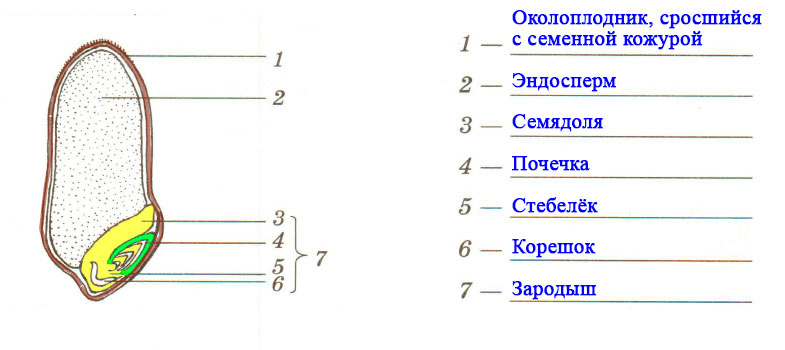 Решение рисунок 6