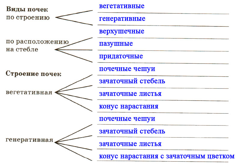 Решение рисунок 1