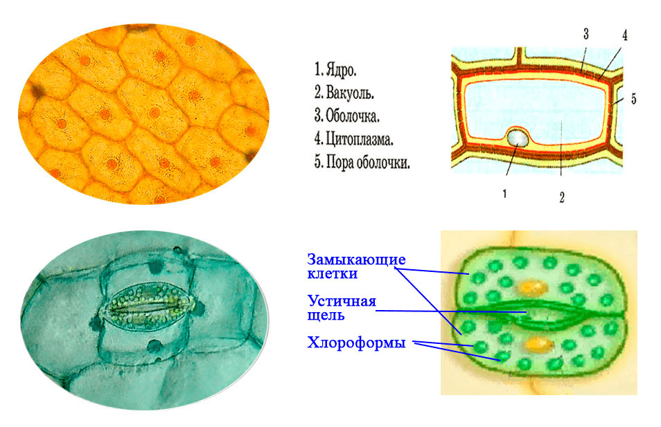 Решение рисунок 4