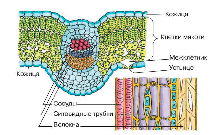 Решение рисунок 4
