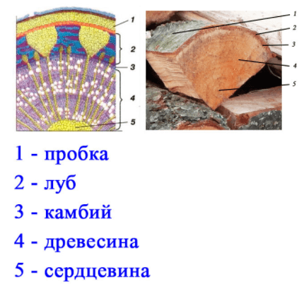 Решение рисунок 3