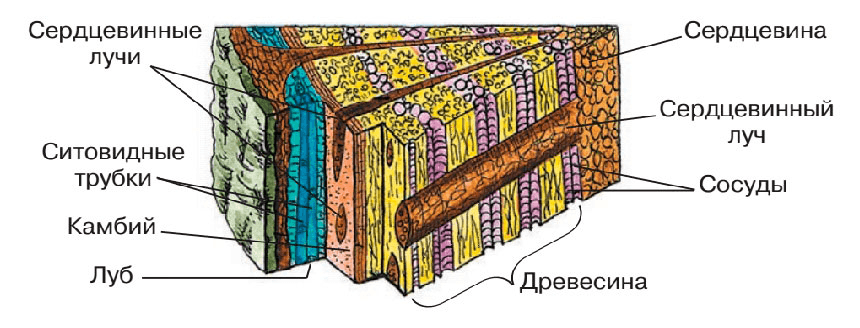 Решение рисунок 4