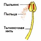 Решение рисунок 2