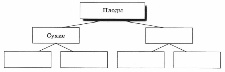 Задание рисунок 1