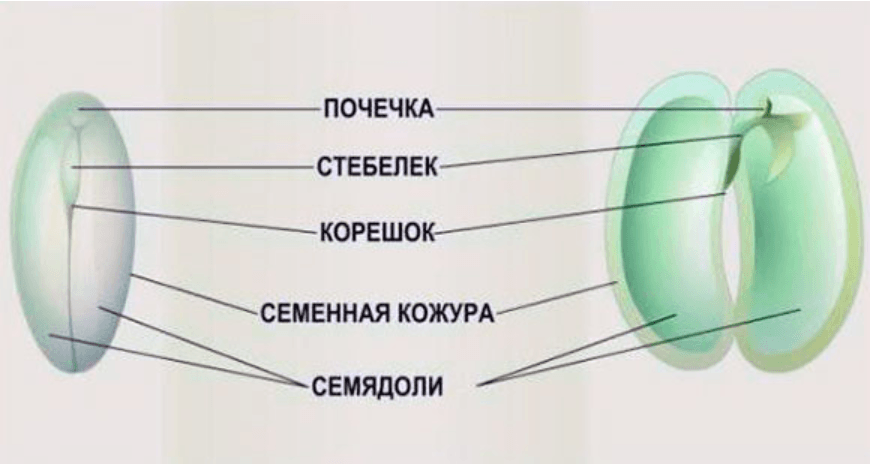 Решение рисунок 1
