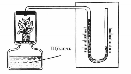 Задание рисунок 1
