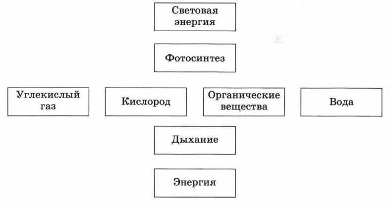 Задание рисунок 1
