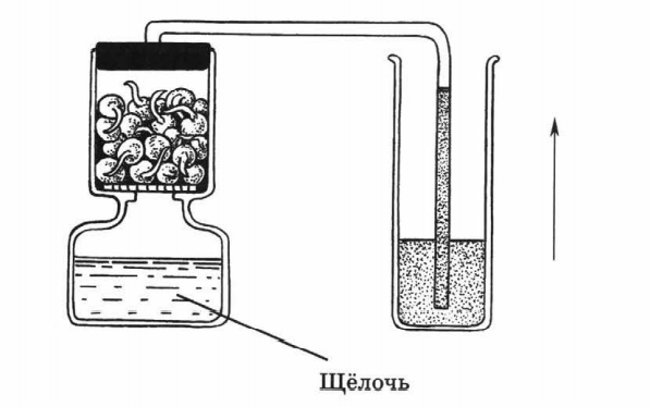 Задание рисунок 1