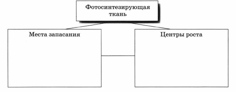 Задание рисунок 1
