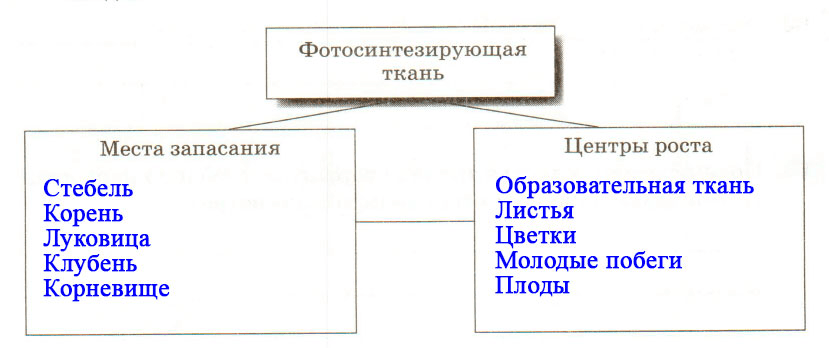 Решение рисунок 1