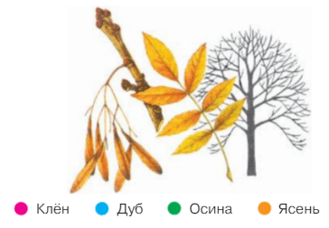 Задание рисунок 1