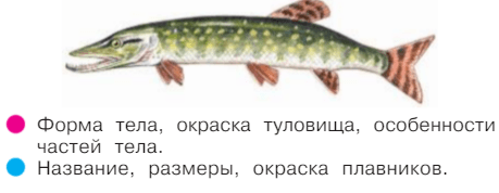 Задание рисунок 1