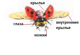 Решение рисунок 2