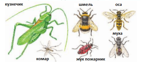 Решение рисунок 1