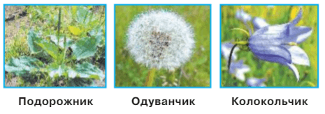 Задание рисунок 1