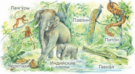 Задание рисунок 1