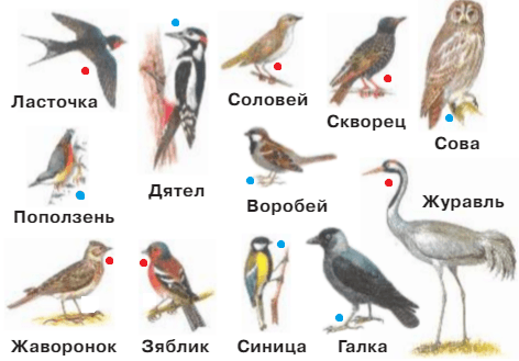 Решение рисунок 1