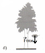 Решение рисунок 1