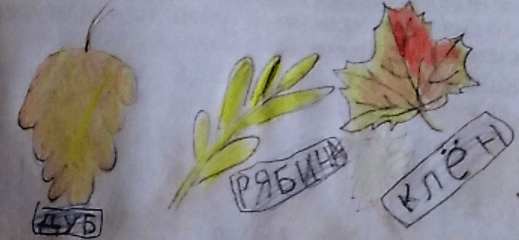 Решение рисунок 1