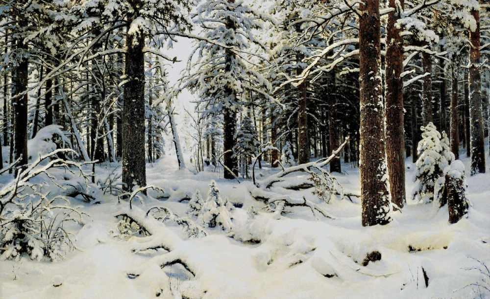 Решение рисунок 1
