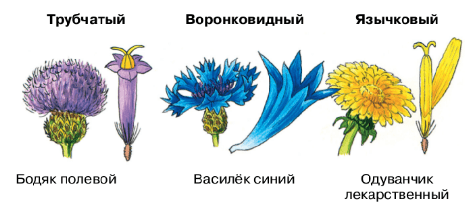 Решение рисунок 2