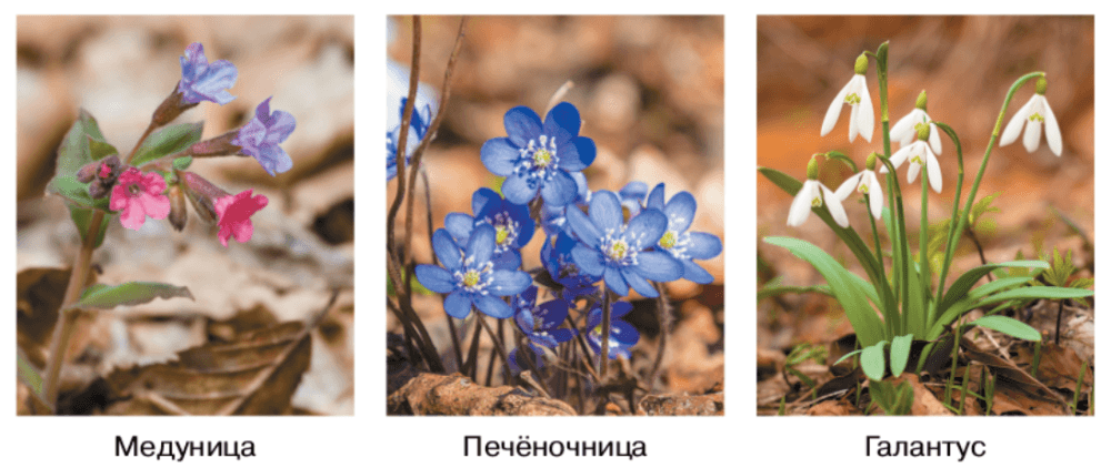 Задание рисунок 2