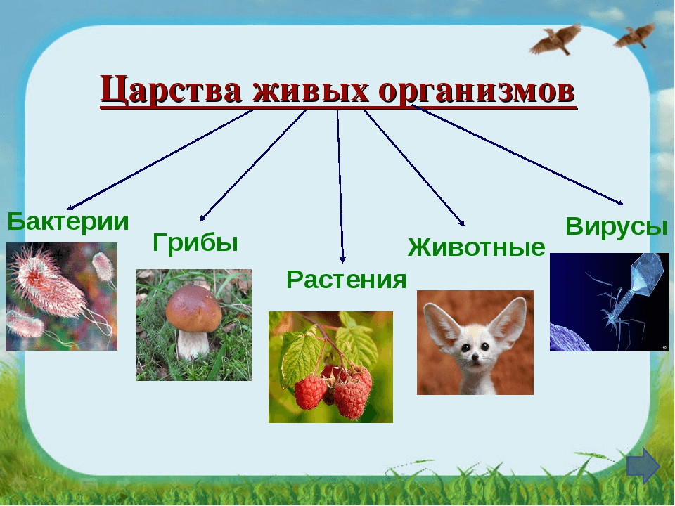 Решение рисунок 1