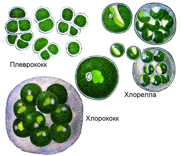 Решение рисунок 1