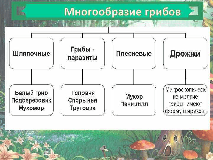 Решение рисунок 1
