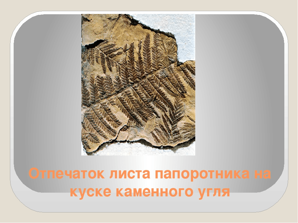 Решение рисунок 1
