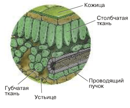 Решение рисунок 2
