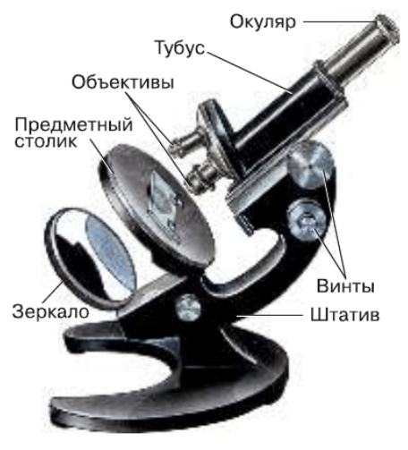Задание рисунок 1