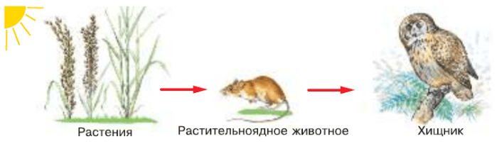 Задание рисунок 1