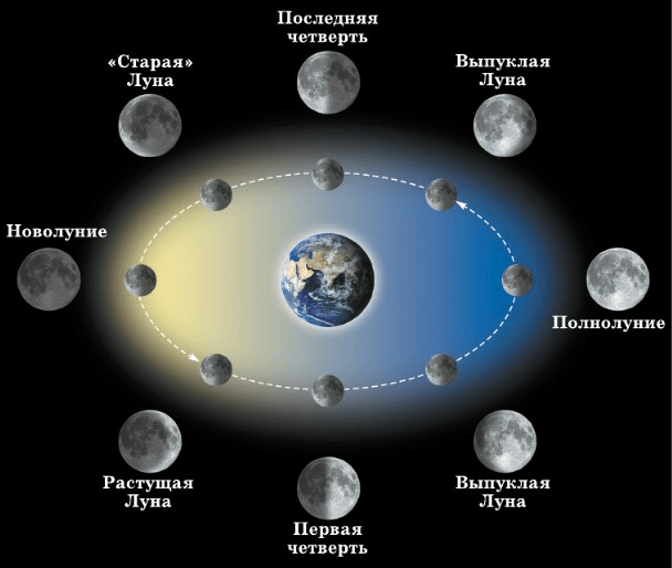 Задание рисунок 1