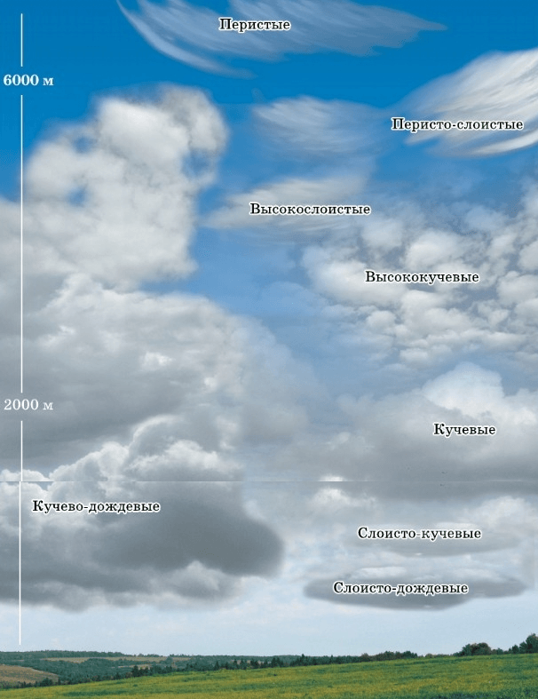 Задание рисунок 1