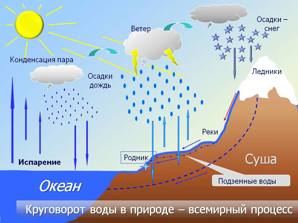Решение рисунок 1