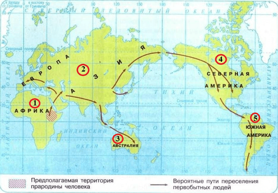 Решение рисунок 1